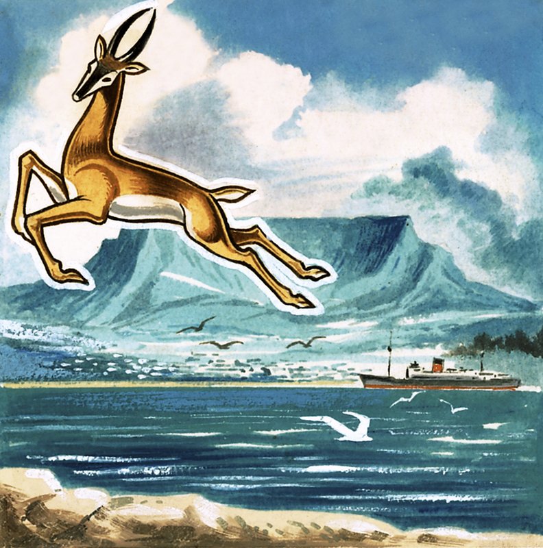 Springboken, Sør-Afrikas emblem av English School