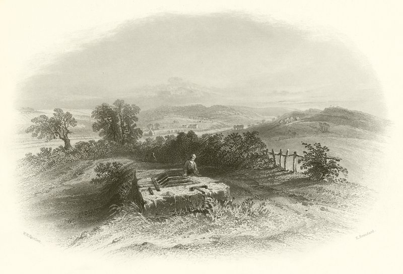 Bannockburn-feltet av English School