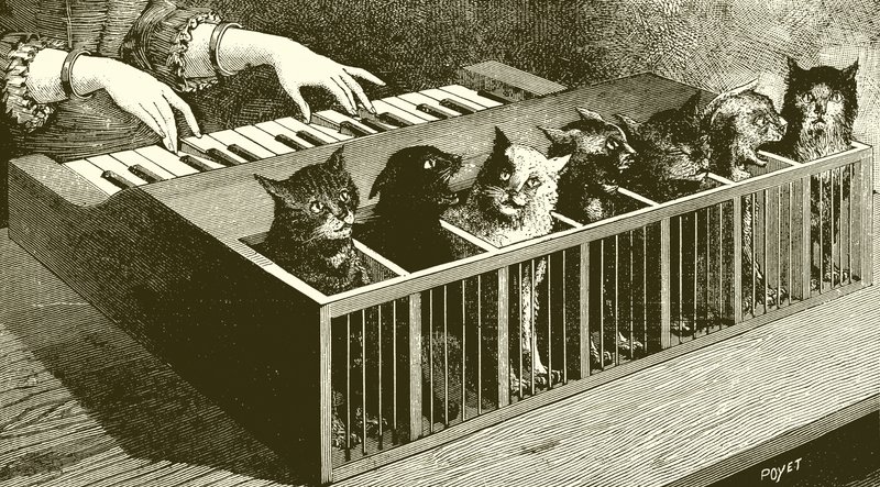 Pianoet til katter av English School