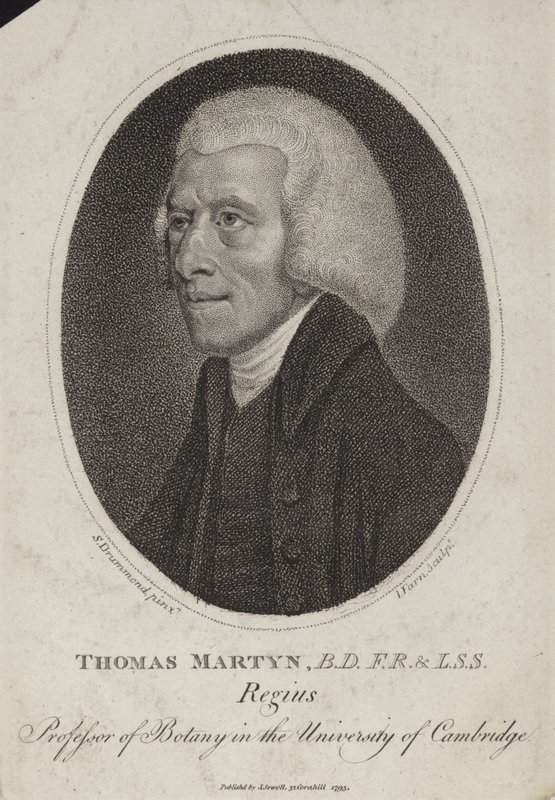 Thomas Martyn av English School