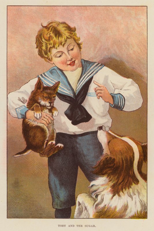 Toby and the Sugar (farge litho) av English School