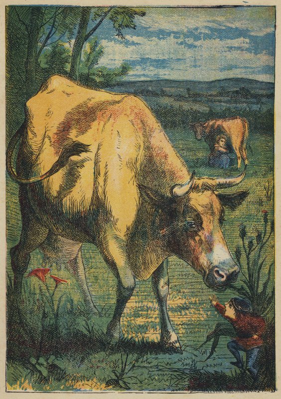 Tom Thumb and the Cow (farge litho) av English School