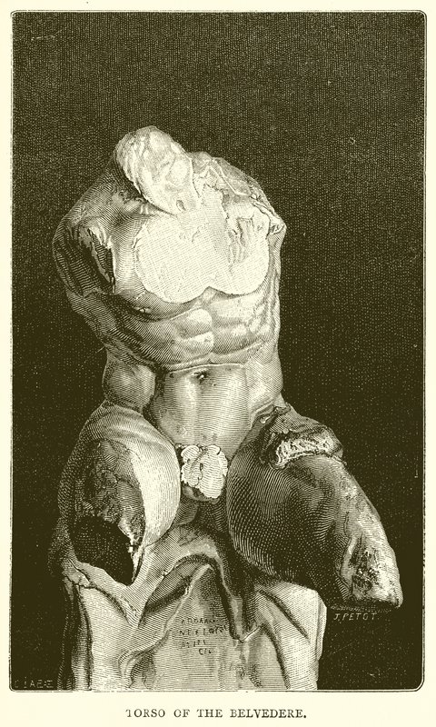 Torso av Belvedere av English School