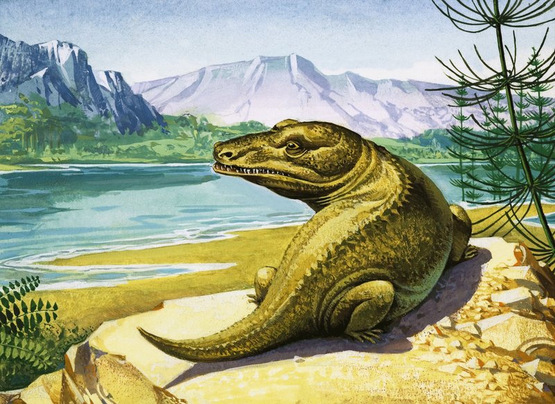 Uidentifisert krokodillelignende dinosaur av English School