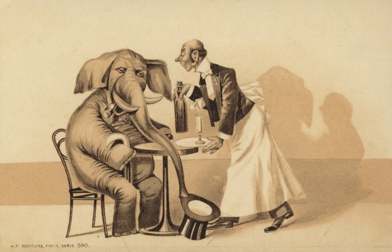 Servitør serverer en elefant av English School