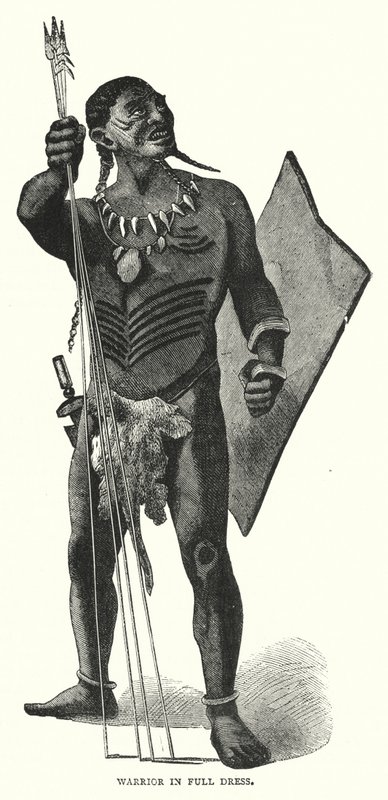 Warrior in full dress (gravering) av English School