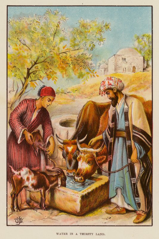Vann i et tørst land (farge litho) av English School