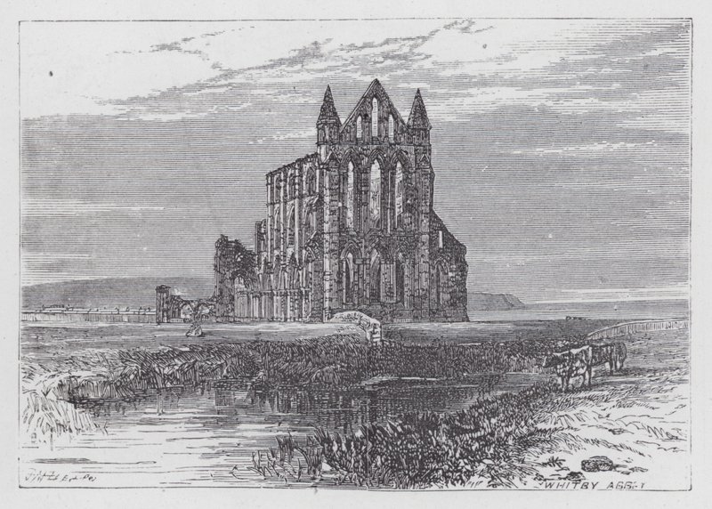 Whitby Abbey (gravering) av English School
