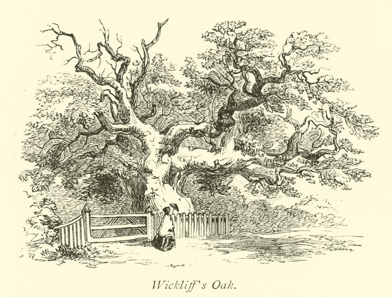 Wickliffs eik av English School