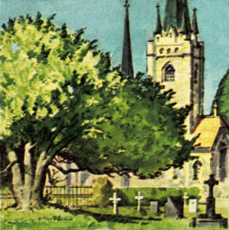Barlind i en kirkegård av English School