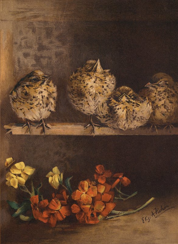 Unge kyllinger og blomster (chromolitho) av English School