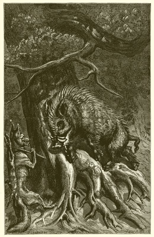 Reven og villsvinet av Ernest Henry Griset