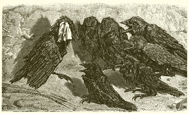 Den forfengelige jackdaw av Ernest Henry Griset