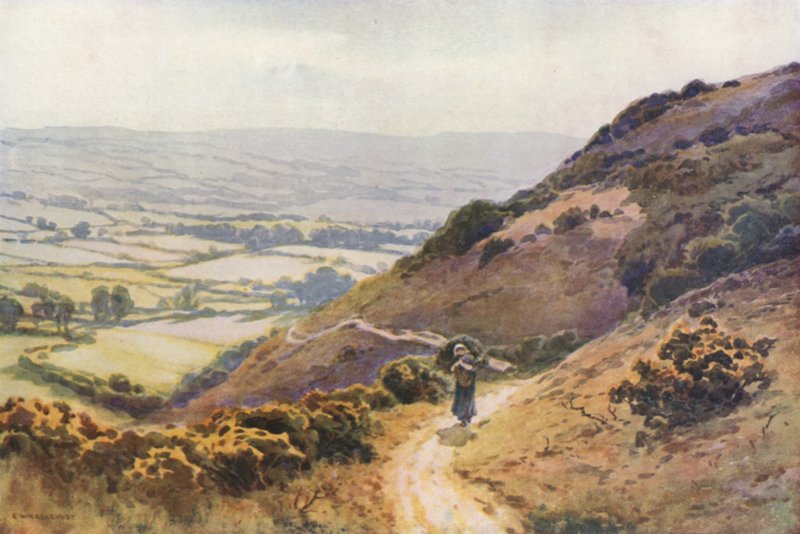 Ballard Down, Swanage (fargemedlemmer) av Ernest William Haslehust