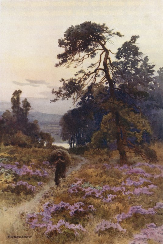 Harlow Moor, Harrogate (farge litho) av Ernest William Haslehust