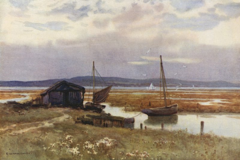 Lepe (fargemedlemmer) av Ernest William Haslehust