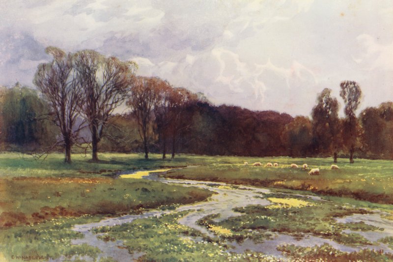  av Ernest William Haslehust