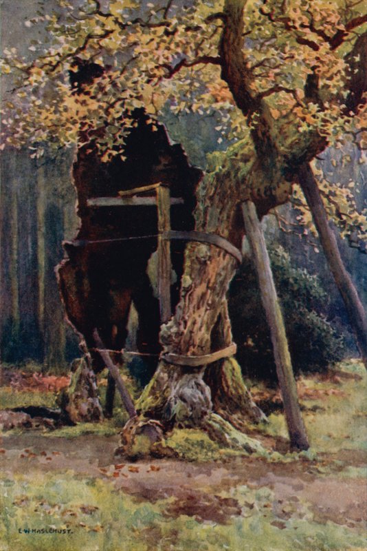 Robin Hoods spisekammer (litho i farge) av Ernest William Haslehust
