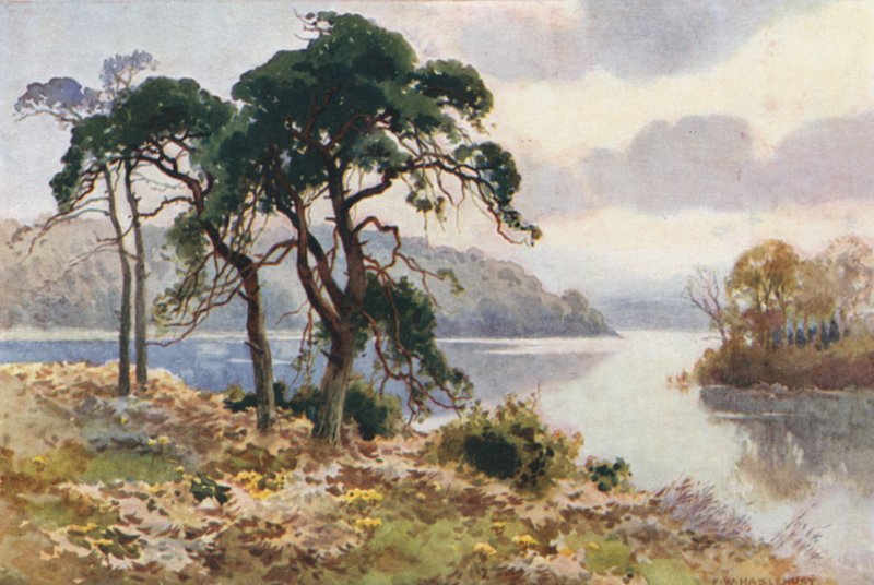 Virginia Water (farge litho) av Ernest William Haslehust