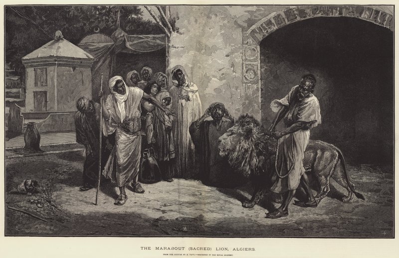 The Marabout Sacred Lion, Alger-gravering av Eugene Pavy