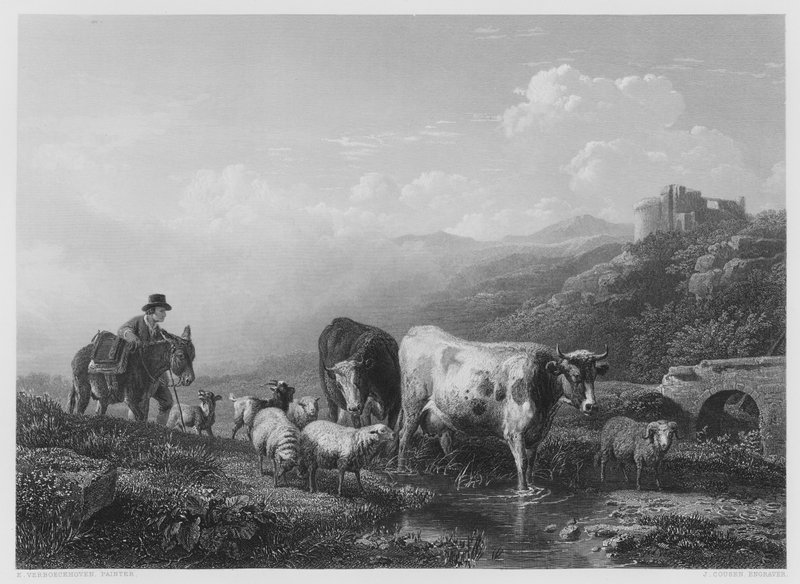 Passerer bekken (gravering) av Eugene Joseph Verboeckhoven