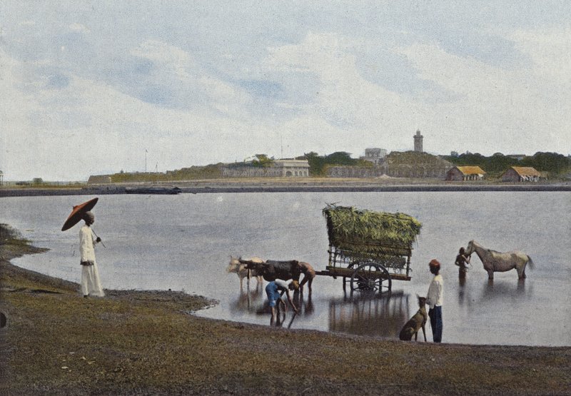 Ceylon, A Gue Before Colombo av European Photographer