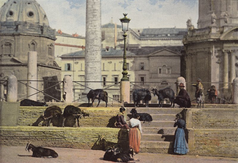 Roma, geiter i forumet til Trajan av European Photographer