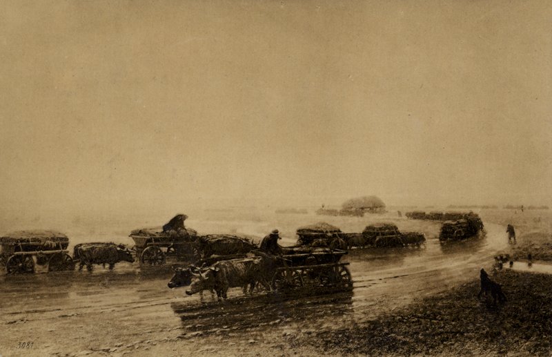 Oksevognbane i Mariupol, 1875 av European School