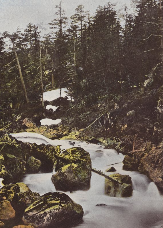 Cauterets, øvre fall av Spaniabroen av European Photographer