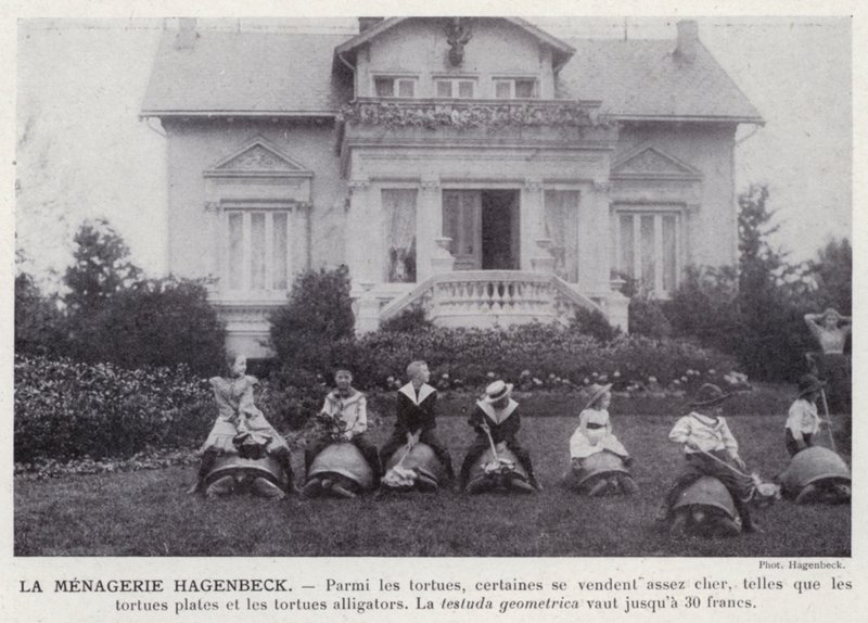 La Menagerie Hagenbeck (s/hvitt bilde) av European Photographer