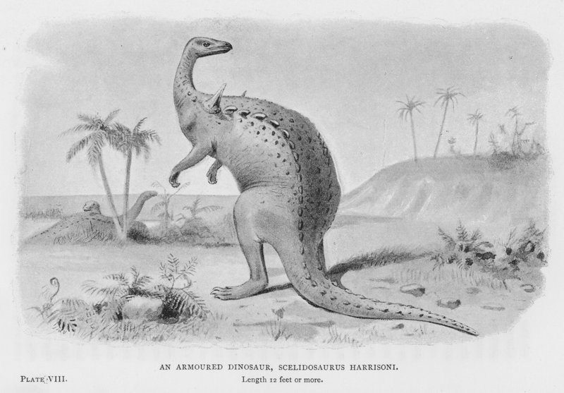 En pansret dinosaur, Scelidosaurus Harrisoni (litho) av European School