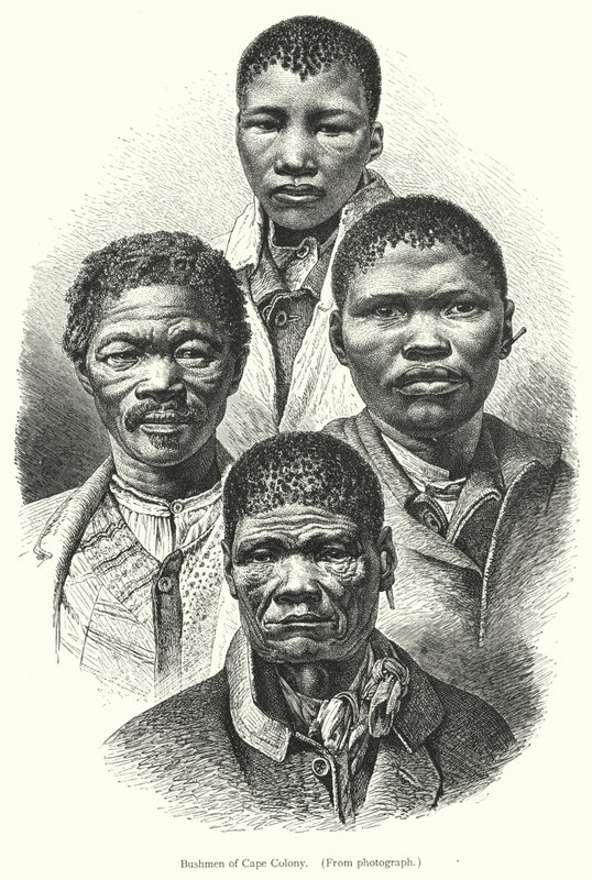 Bushmen of Cape Colony (gravering) av European School