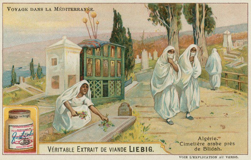 Kirkegård nær Blida i Algerie av European School