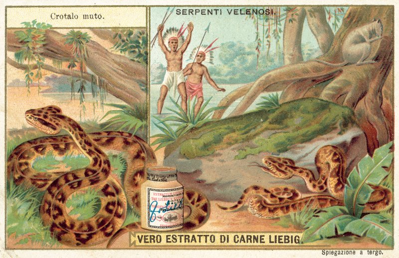 Copperhead (chromolitho) av European School
