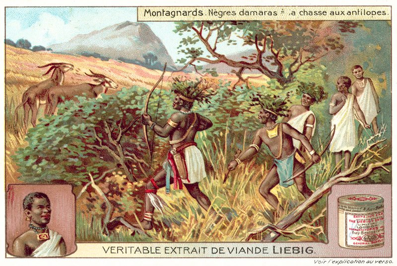 Damaras jakter antiloper (chromolitho) av European School