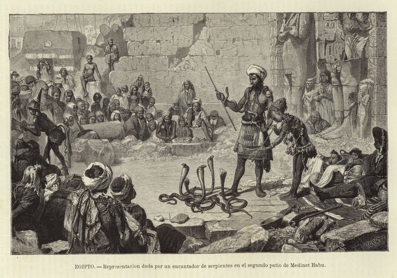 Egypt - Demonstrasjon av en slangetjarmer av European School