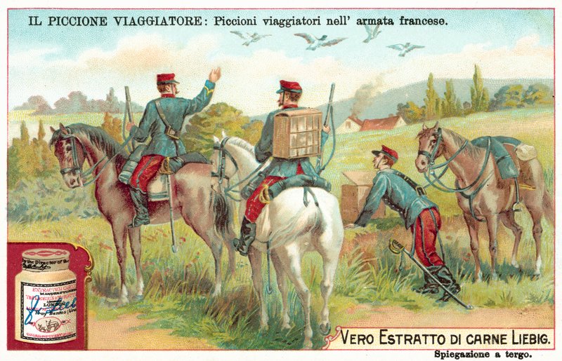 Den franske hærens brevduer (chromolitho) av European School