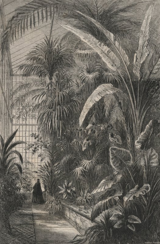 Great Greenhouse of the Museum of Paris (gravering) av European School