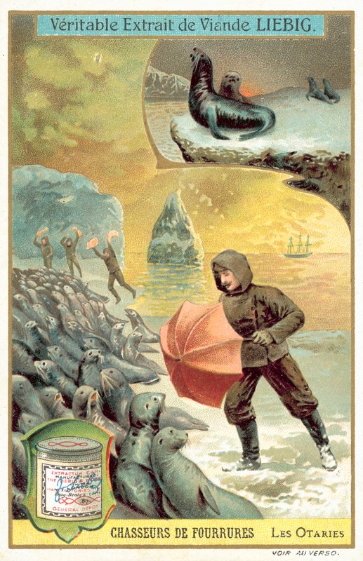 Jakt på sjøløver (chromolitho) av European School