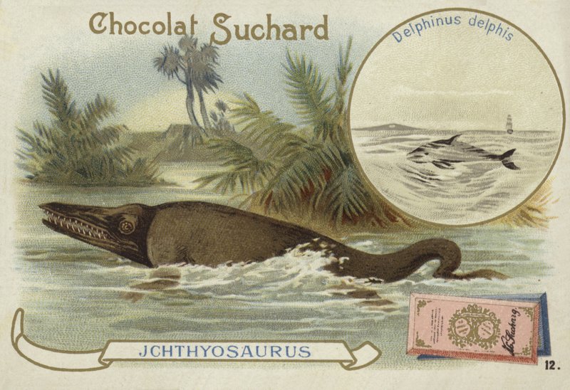 Ichthyosaur og vanlig delfin av European School