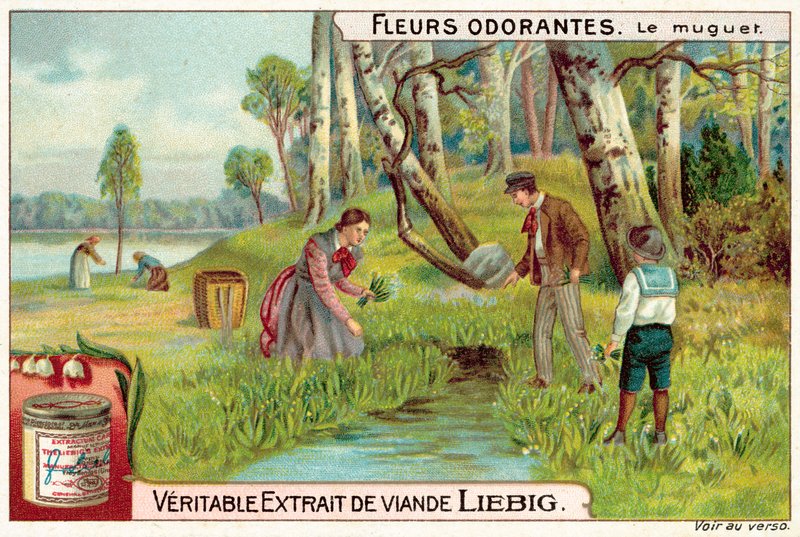 Liljekonvall (chromolitho) av European School