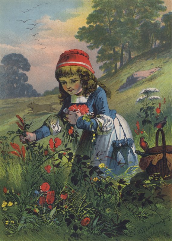 Rødhette (farge litho) av European School