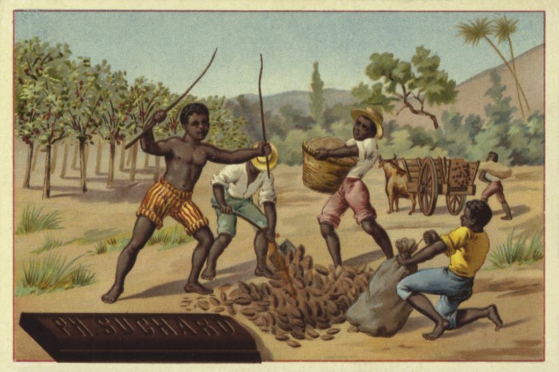 Laster kakaobelger i sekker, Afrika av European School