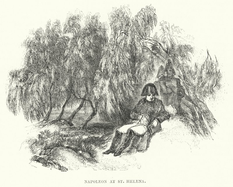 Napoleon ved St. Helena (gravering) av European School