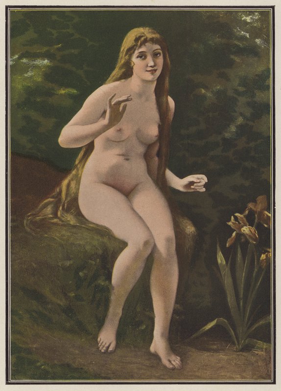 Nightingales sang (farge litho) av European School