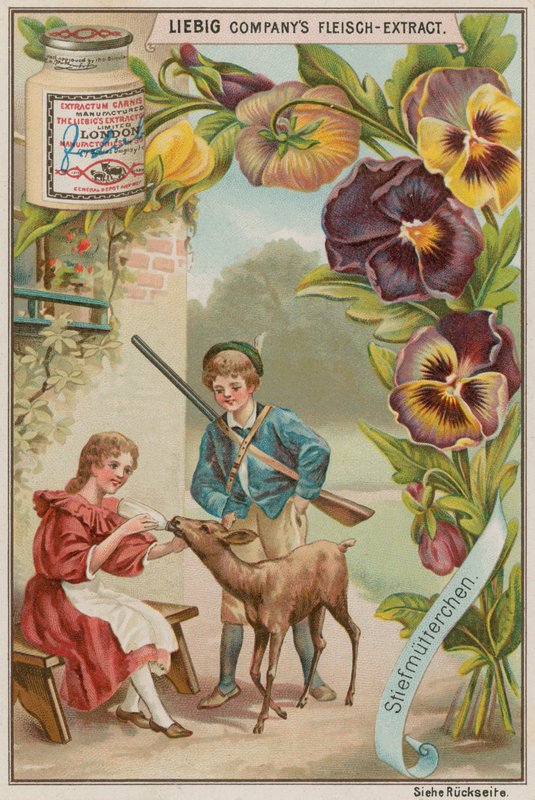 Stemorsblomst av European School