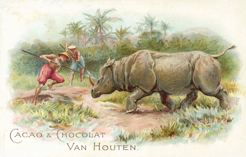 Neshorn under angrep (farge litho) av European School