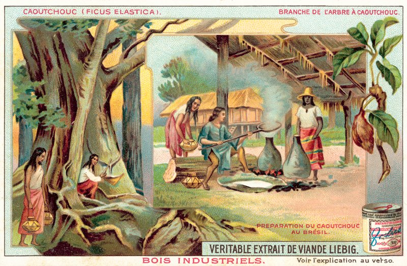 Gummitre (chromolitho) av European School