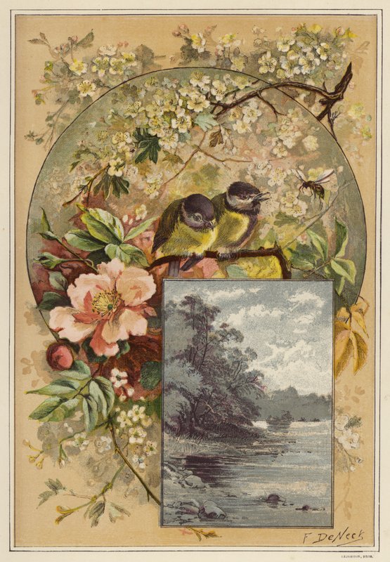 Sommer (farge litho) av European School