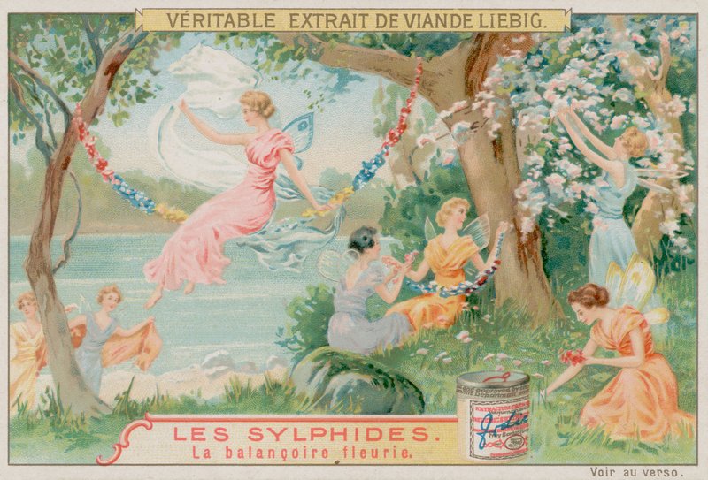 Sylfer og en blomsterhuske av European School